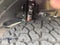 2026 Jeep Gladiator Mojave X