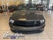 2007 Ford Mustang Shelby GT500